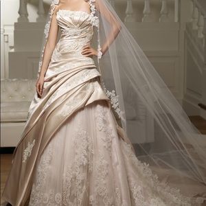 Pronovias “Davis” Wedding gown